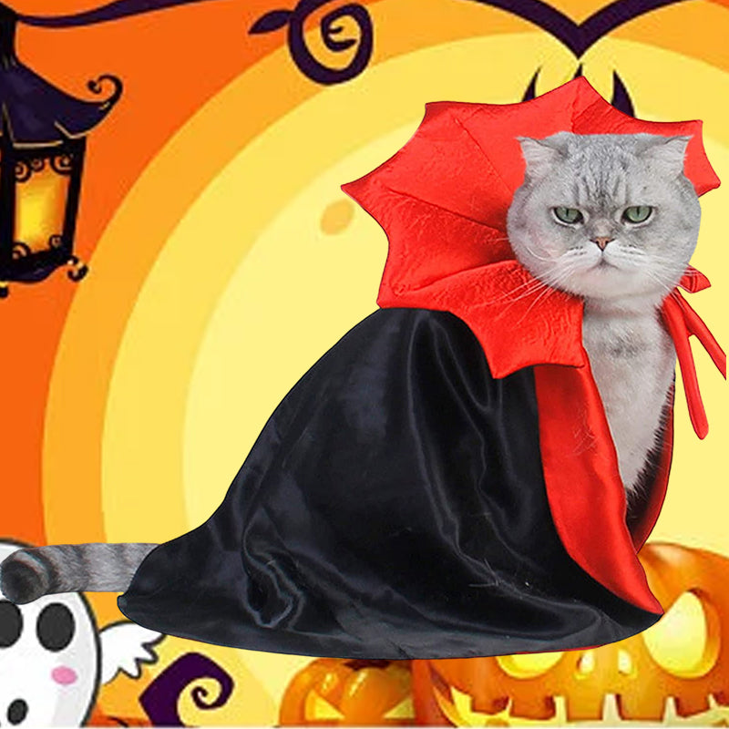 Halloween Dracula Pet Costume