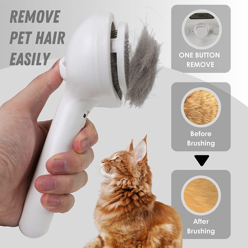Spray Cat Brush