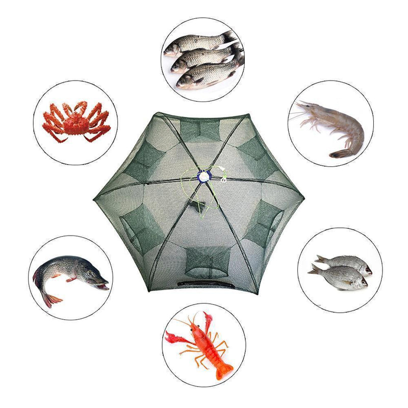 Automatic Folding Fish Trap