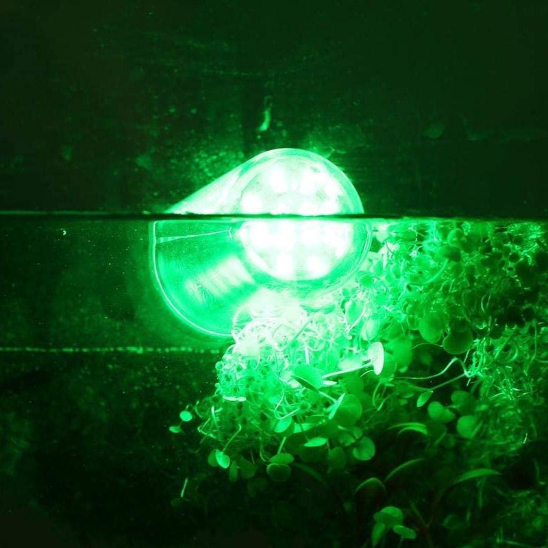 Multi-functional Fishing LED Light