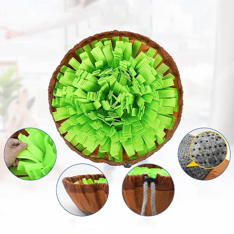 Pet Feeding Training Mat