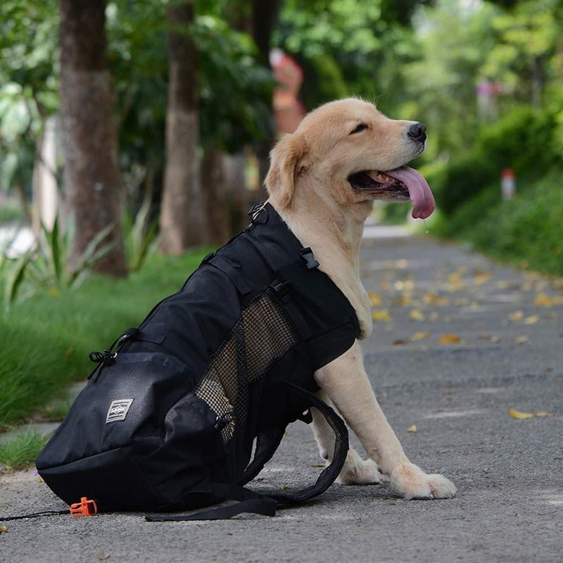 Double Backpack for the Pet Dog/Cat Passenger